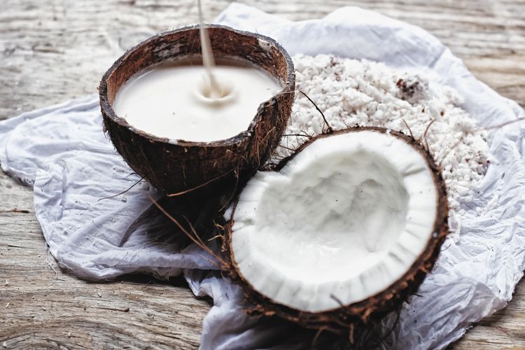 Mengapa Kelapa Dijuluki “Pohon Kehidupan”?
